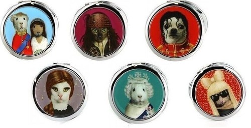 Creative colours pets rock - colours,