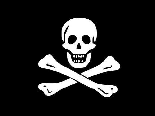 Pirate flag skull - pirate,